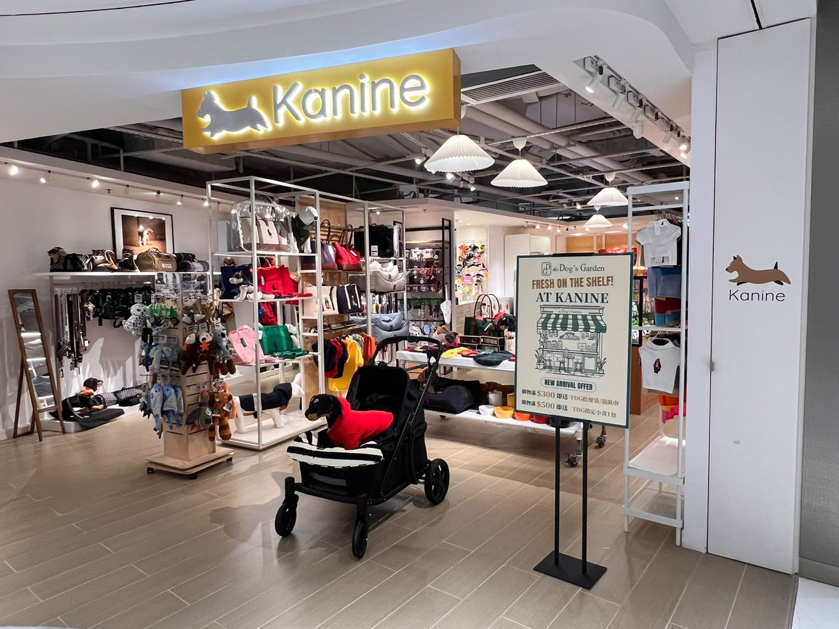 A New Spot for Southside Pups! the Dog’s Garden is Now at Kanine