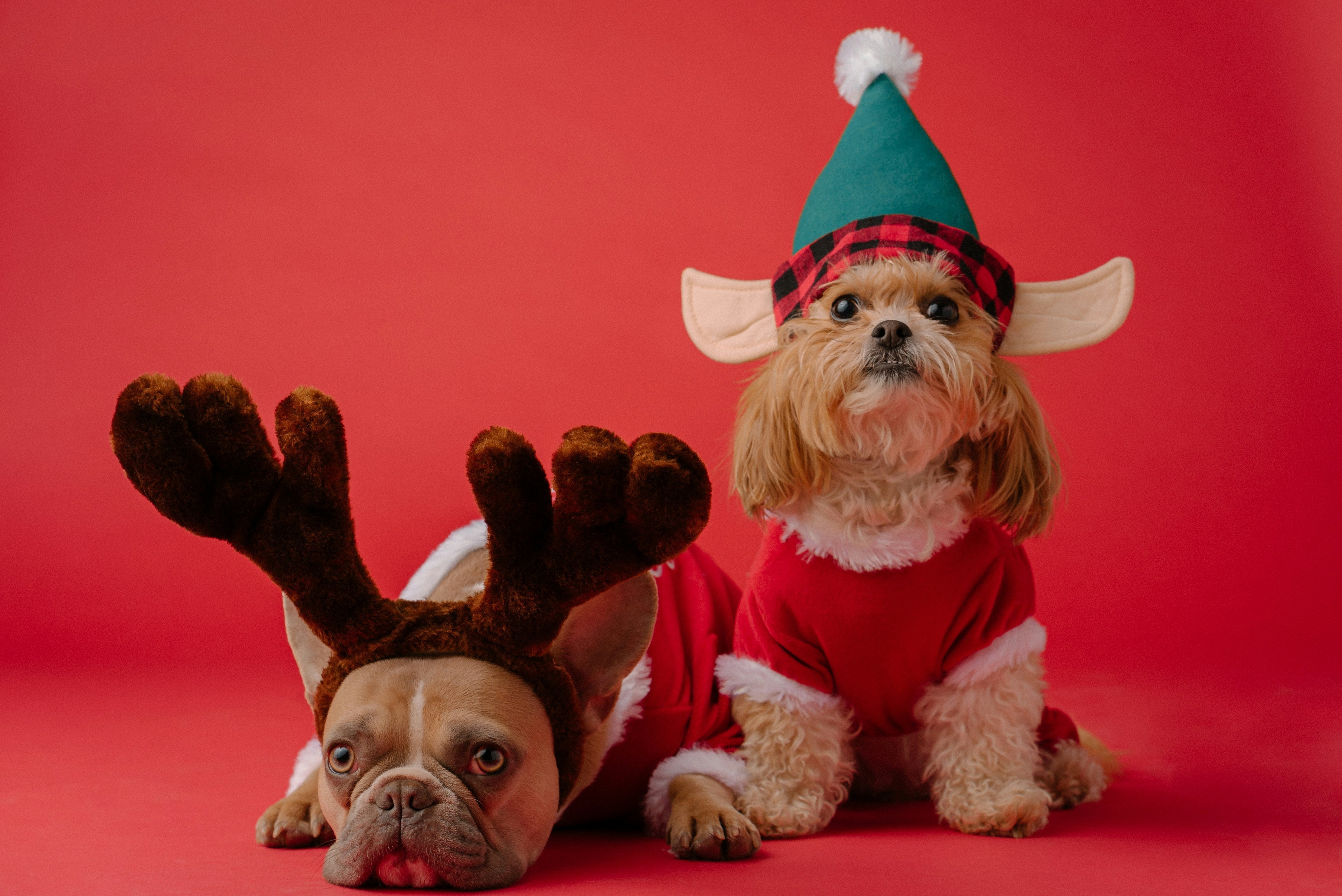 Seasonal