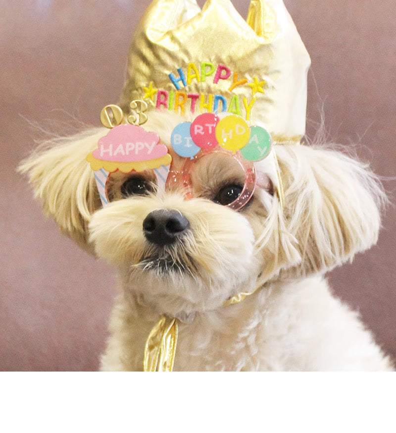 Lifelike – Birthday Celebration Glasses