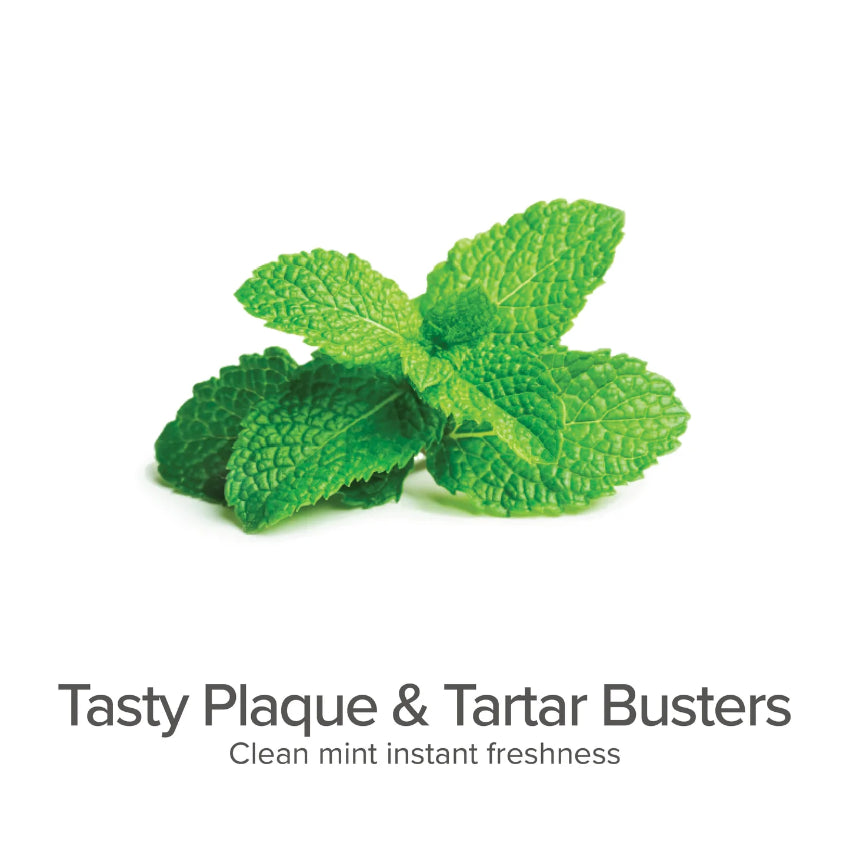 Pure and Natural Pet - Plaque & Tartar Control Breath Spray-Clean Mint