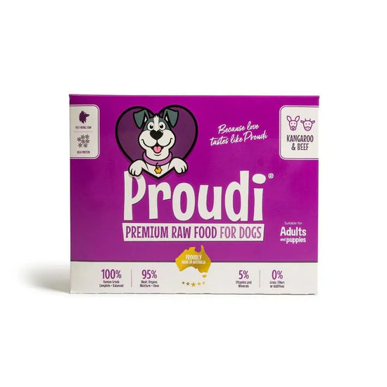 Proudi
