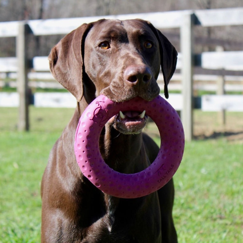 Tall Tails - Rubber Toy - G.O.A.T. Rubber Sport Ring