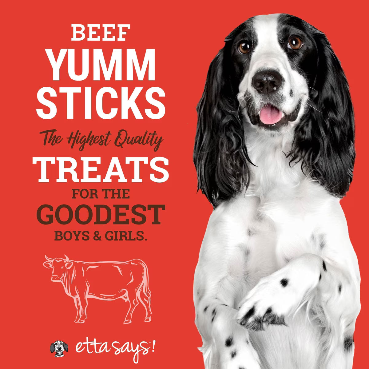 Etta Says - Yumm sticks - Beef