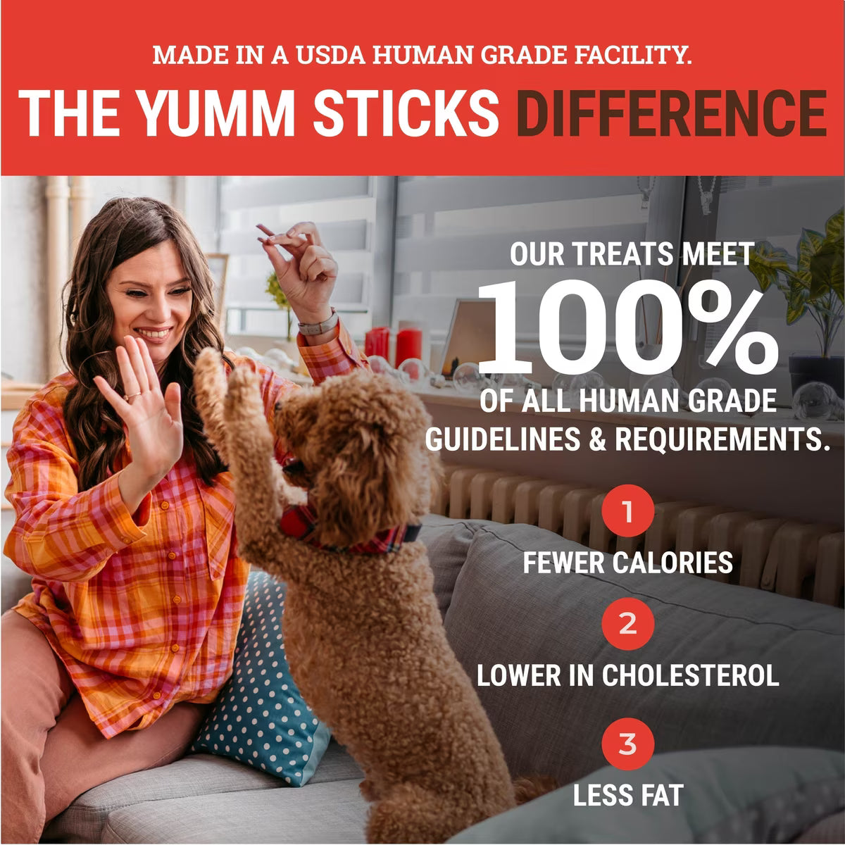 Etta Says - Yumm sticks - Beef