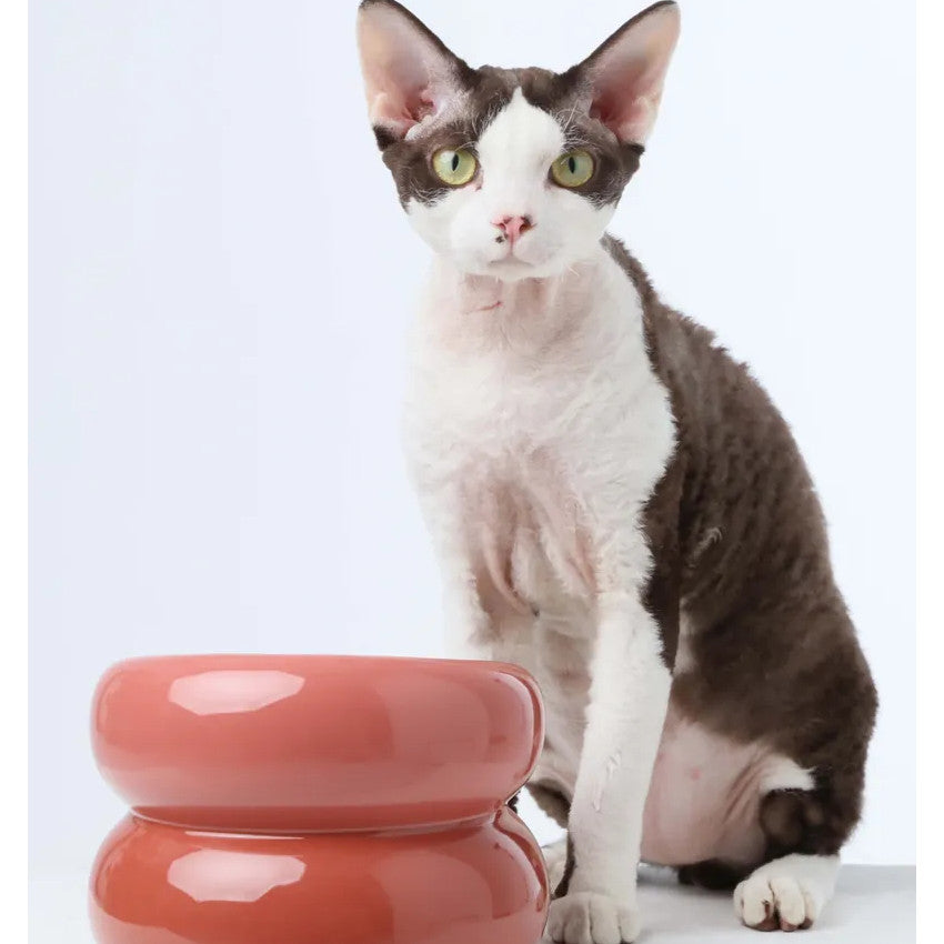 PEHOM - Souffle Pet Bowl - Pink