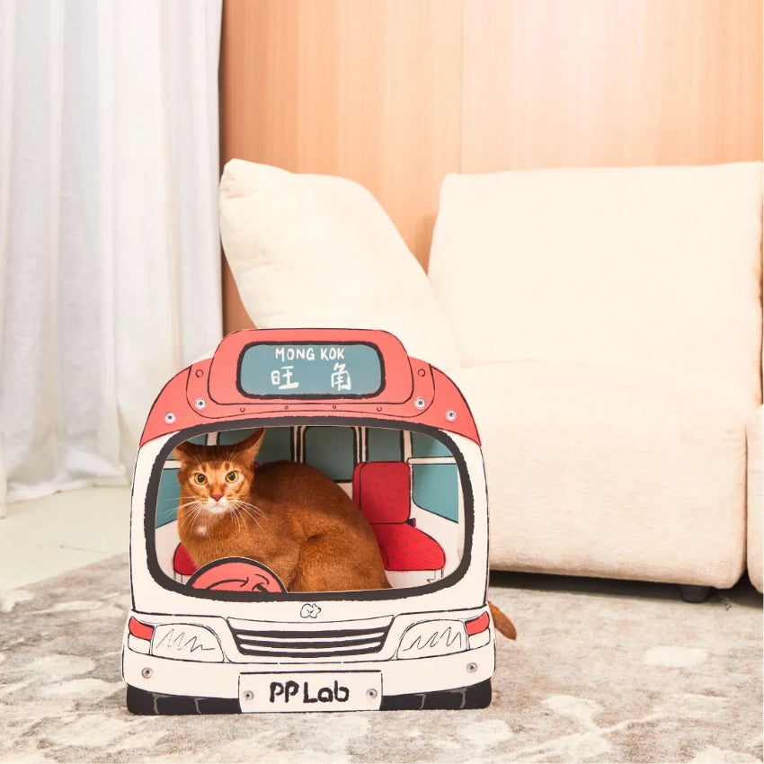 PP LAB - Hong Kong Mini Bus Cat Scratcher
