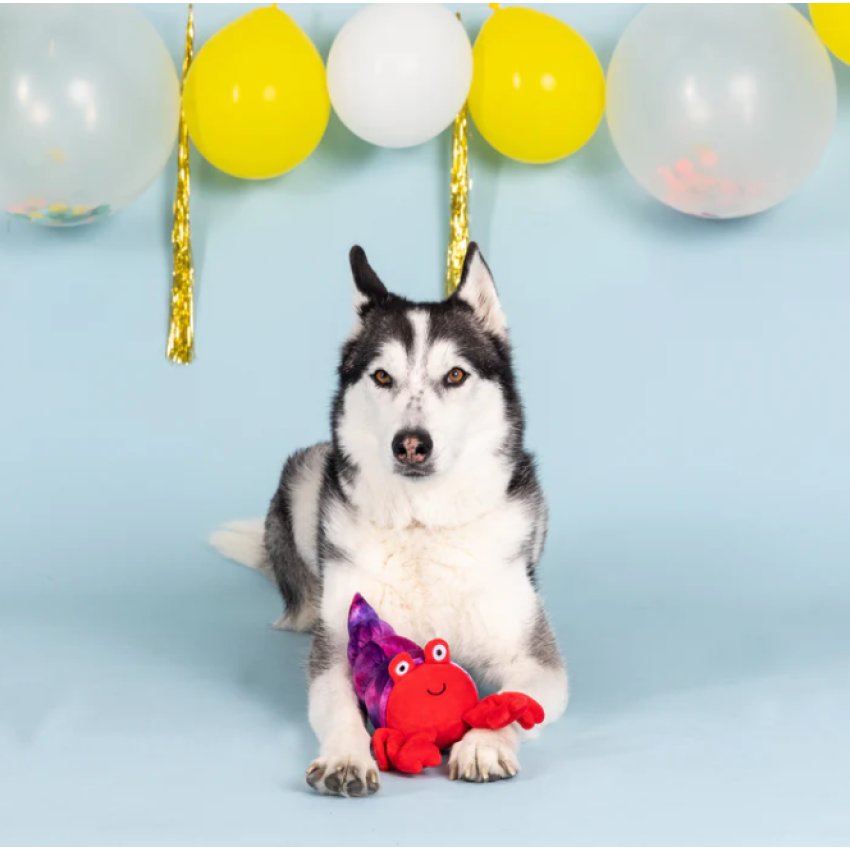 Petshop - IN A PINCH DOG TOY