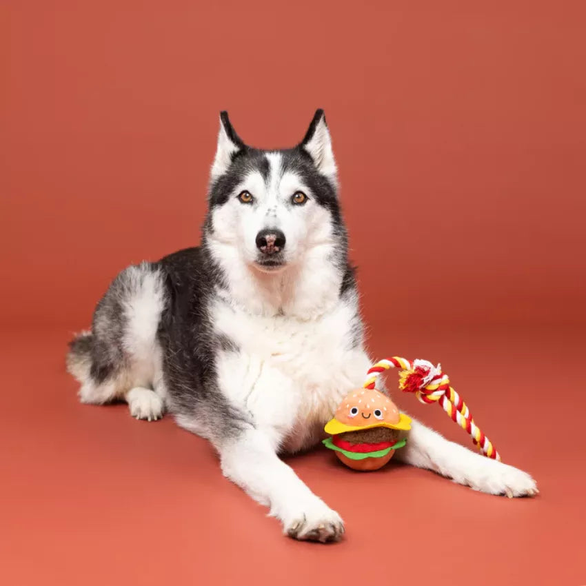 Petshop - YOU'RE THE BUN THAT I WANT ROPE DOG TOY