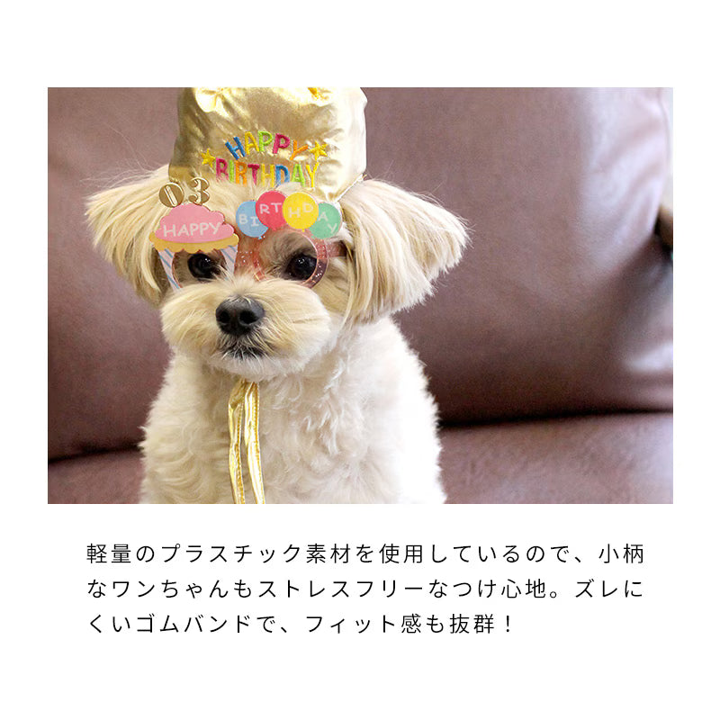 Lifelike – Birthday Celebration Glasses