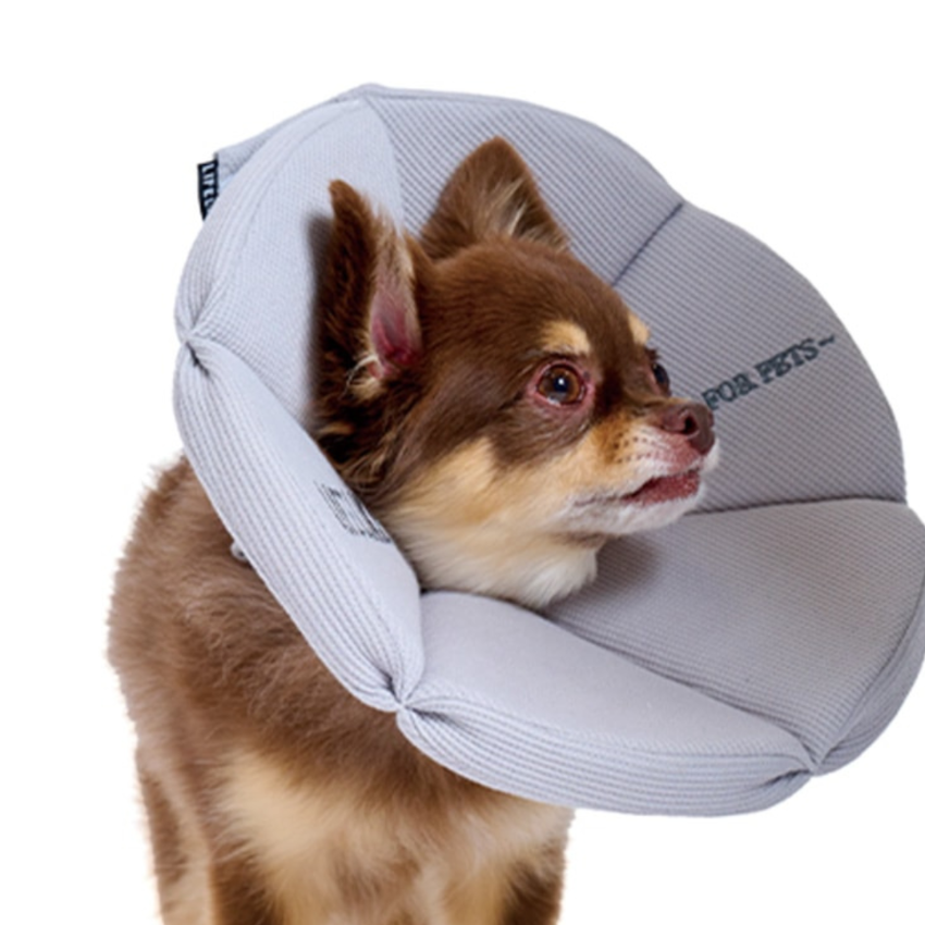 Lifelike - Recovery Collar
