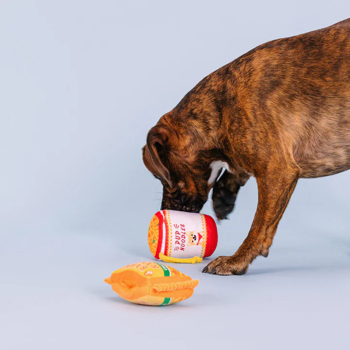 Petshop - NOTHIN' BUT NOODLES INTERACTIVE TOYS - 2 PCS