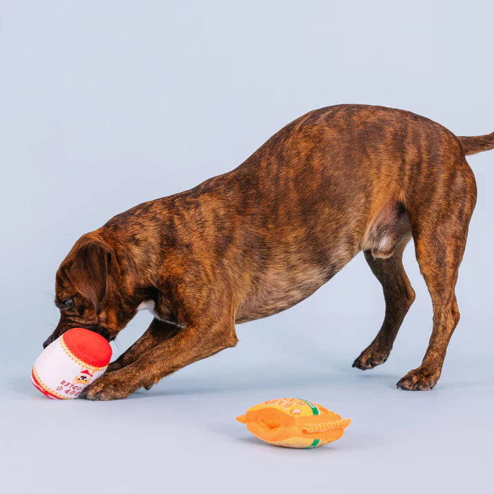 Petshop - NOTHIN' BUT NOODLES INTERACTIVE TOYS - 2 PCS