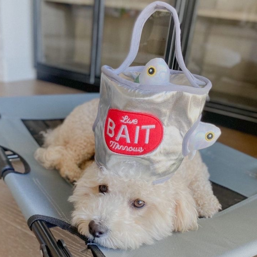 Tall Tails - Plush Toy - Bait Bucket Puzzle Dog Toy - 8"