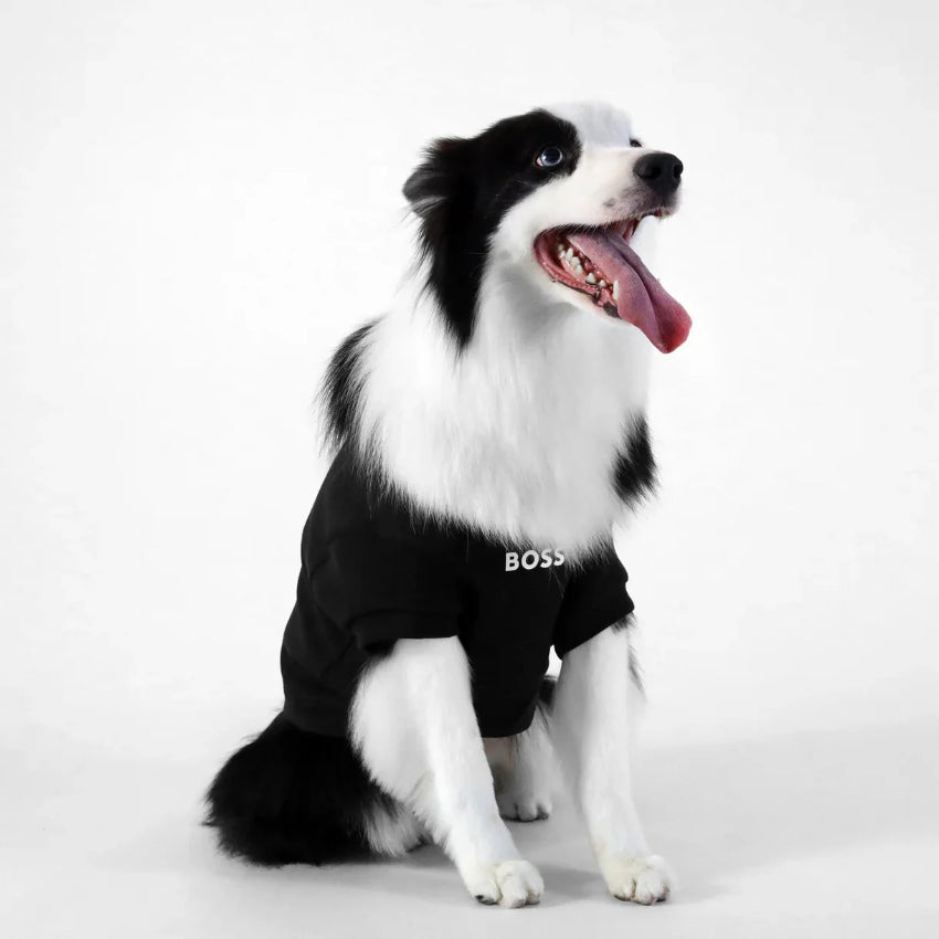 BOSS 狗狗必備短袖圓領衛衣 - 黑色