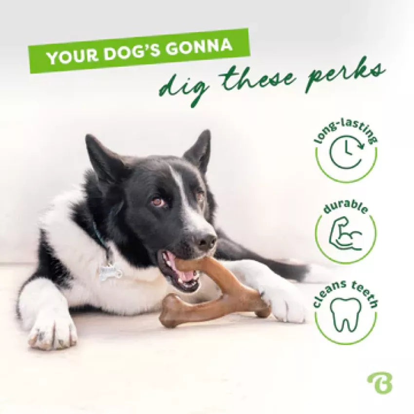Benebone - Wishbone Durable Dog Chew - Chicken Flavor (Medium)