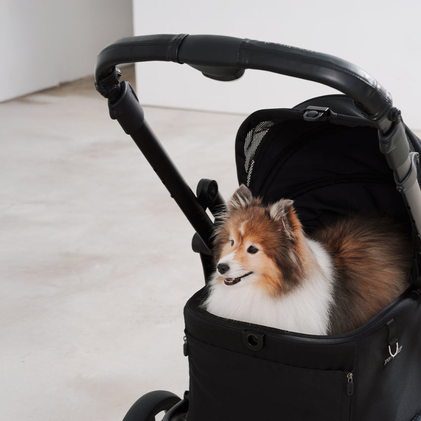 Pompolarr Pet Modu Wagon - Hybrid Detachable Pet Stroller (Black)