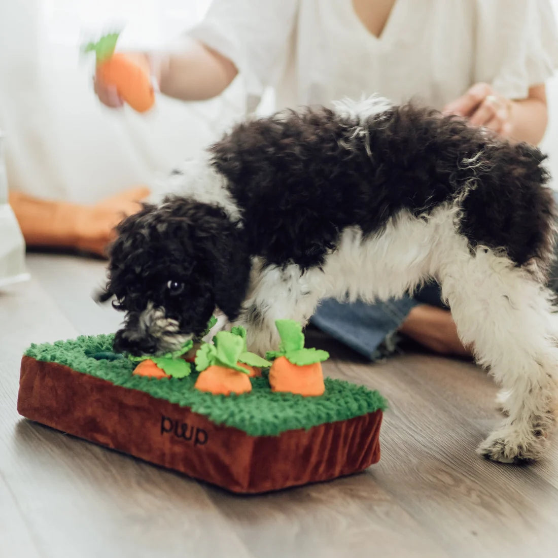 Patchwork Pet - 菜園紅蘿蔔互動狗狗玩具（14吋）