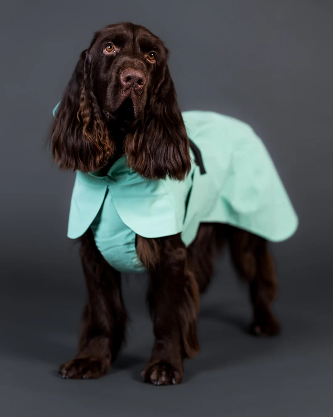 PAIKKA Visibility Raincoat Lite for Dogs - Cabbage