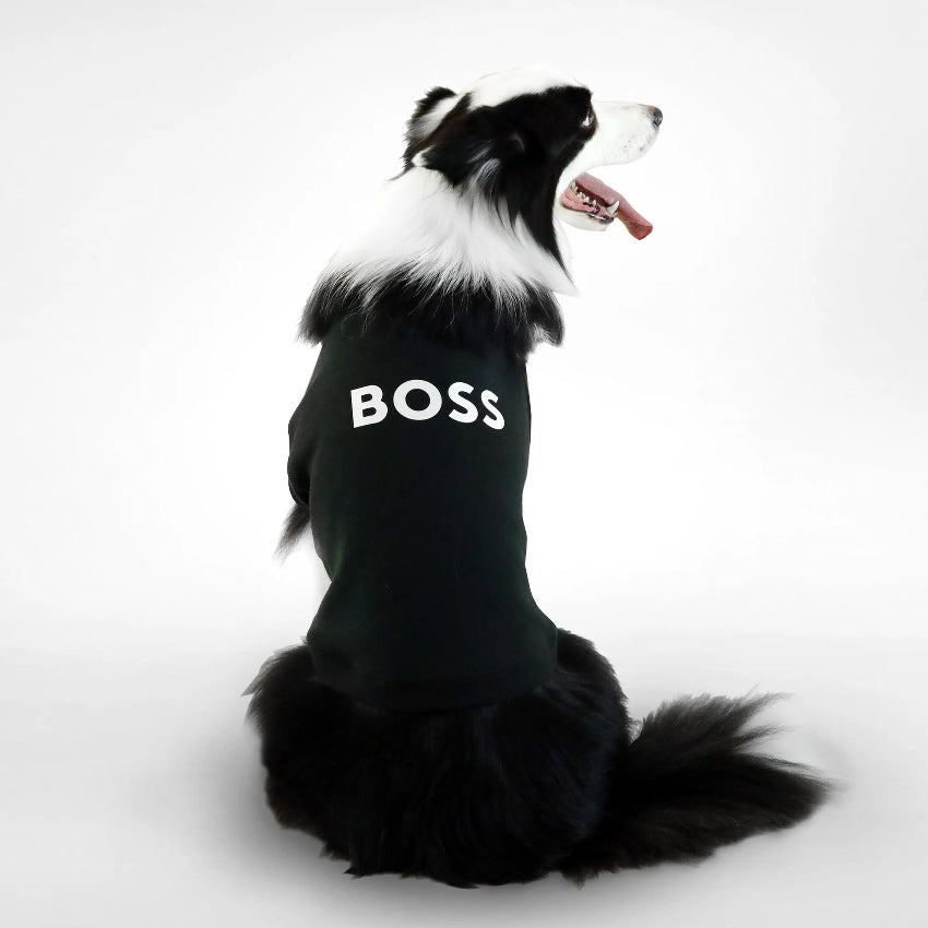 BOSS 狗狗必備短袖圓領衛衣 - 黑色
