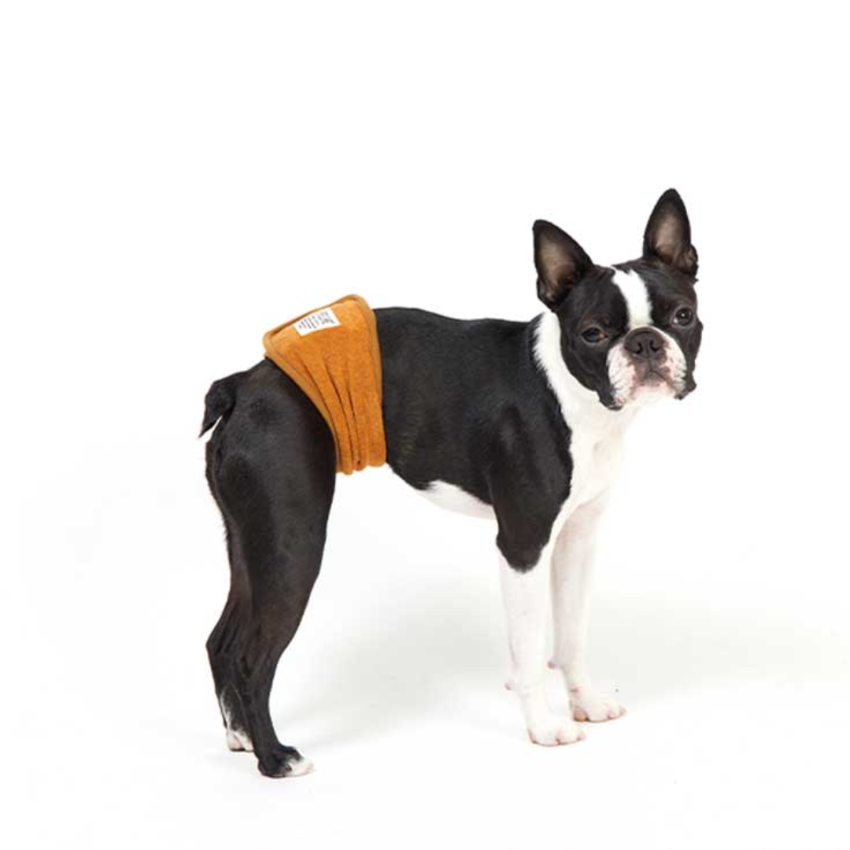 Lifelike - Manner belt