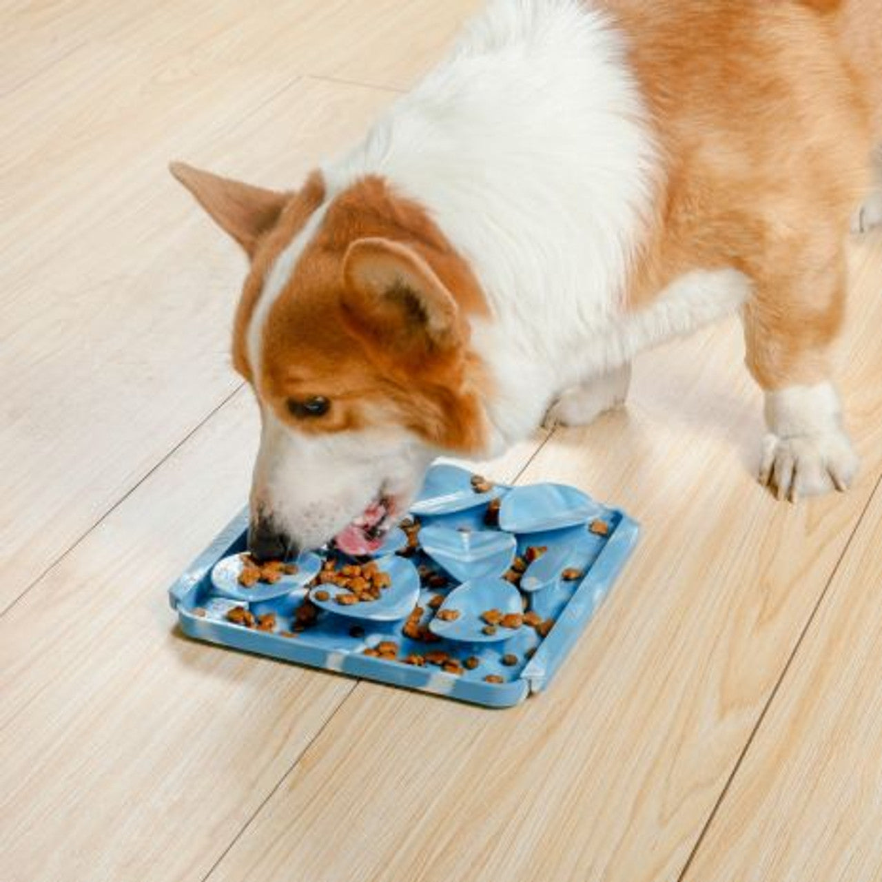 Tall Tails - Rock Foraging Mat - 8"