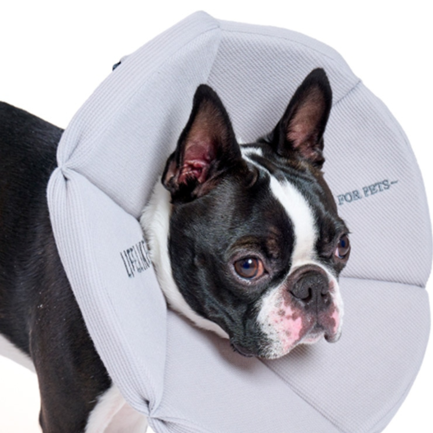 Lifelike - Recovery Collar