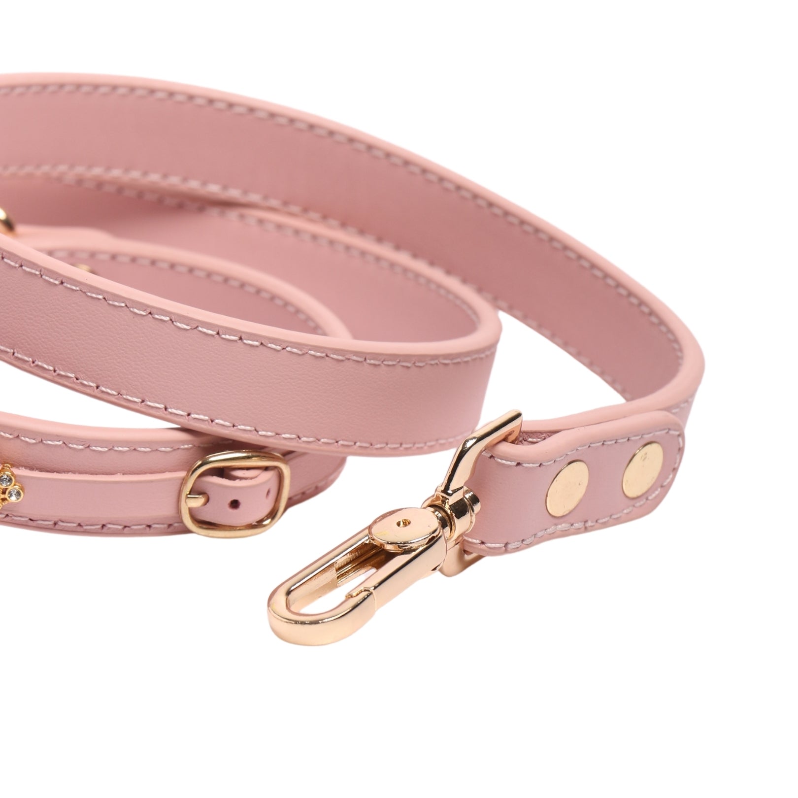 the Dog's Garden - Leather Collar (Add your pet's name)