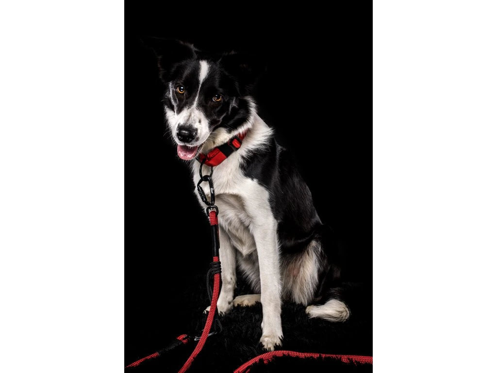 Tamer EASY LONG – TWIST Rope Leash (Neon Orange)