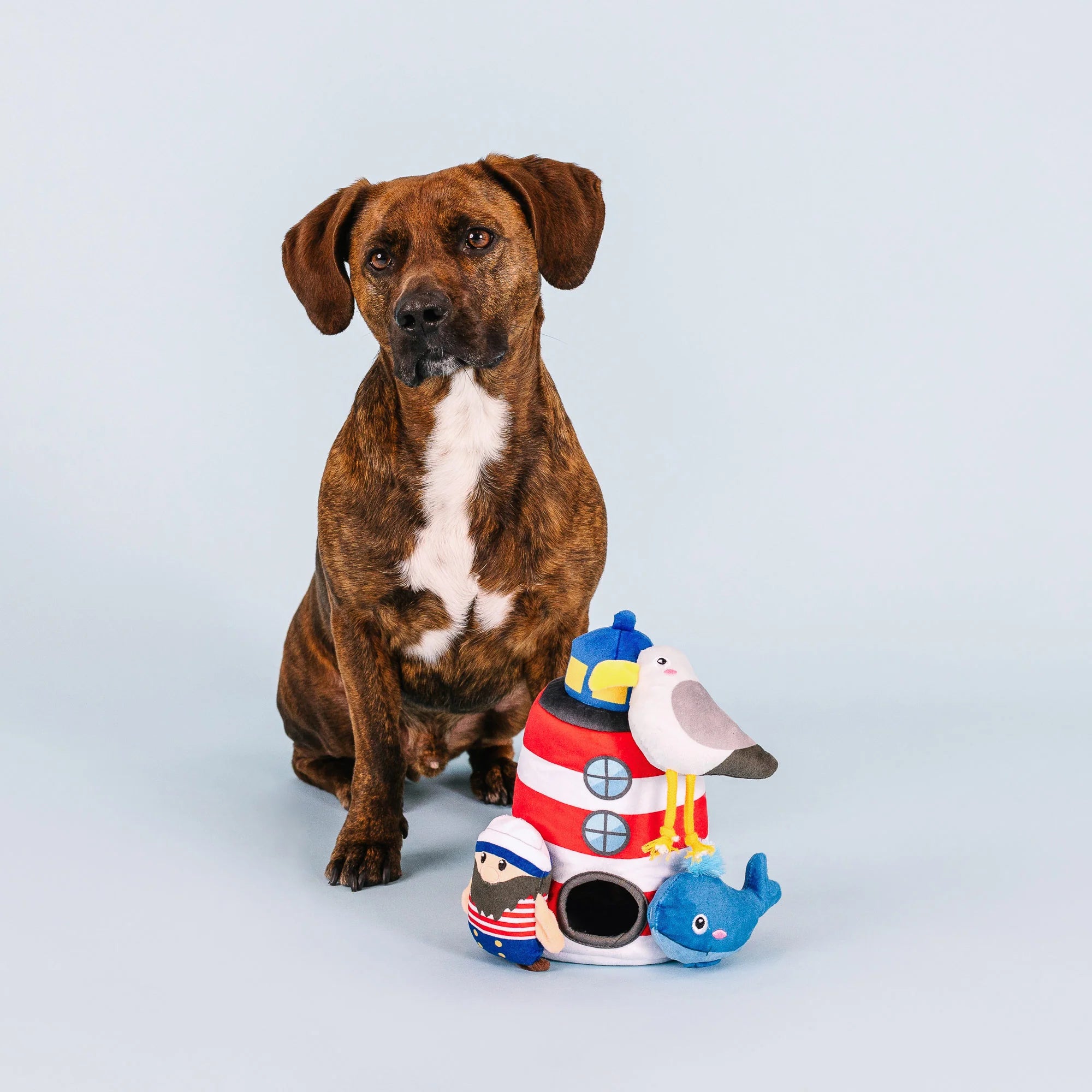 Petshop - SHIPS AHOY INTERATIVE DOG TOYS