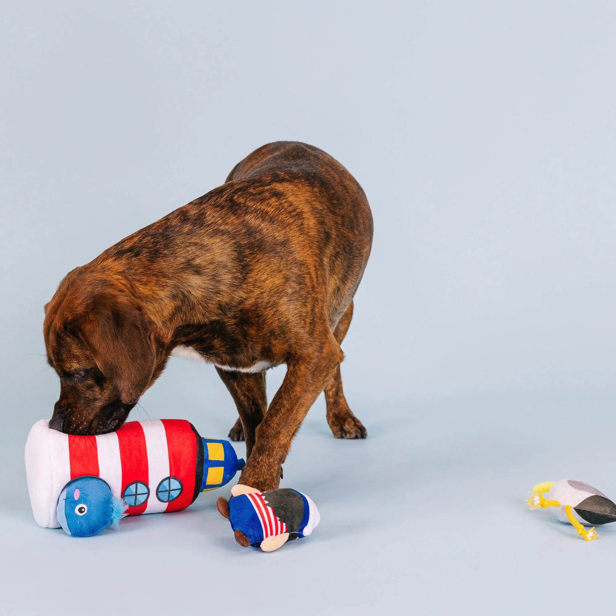 Petshop - SHIPS AHOY INTERATIVE DOG TOYS