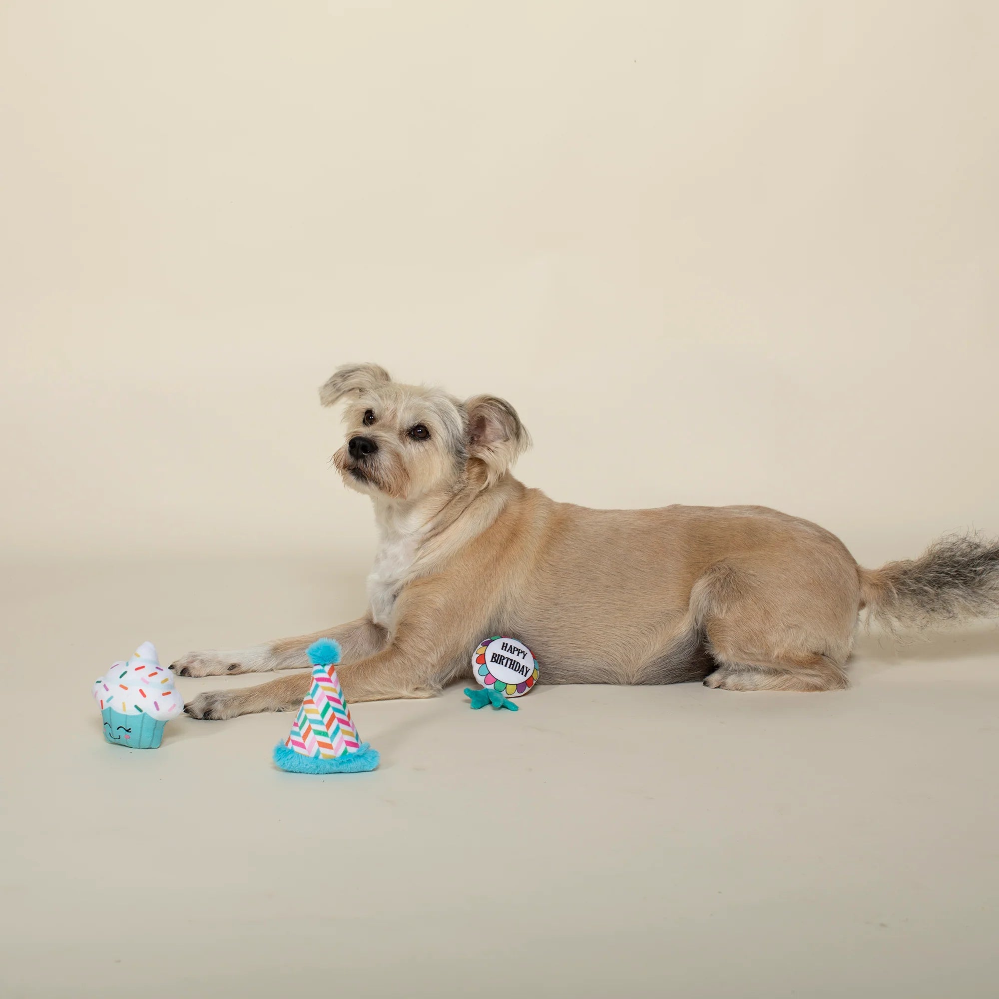 Petshop - BARK-DAY! MINI DOG TOYS