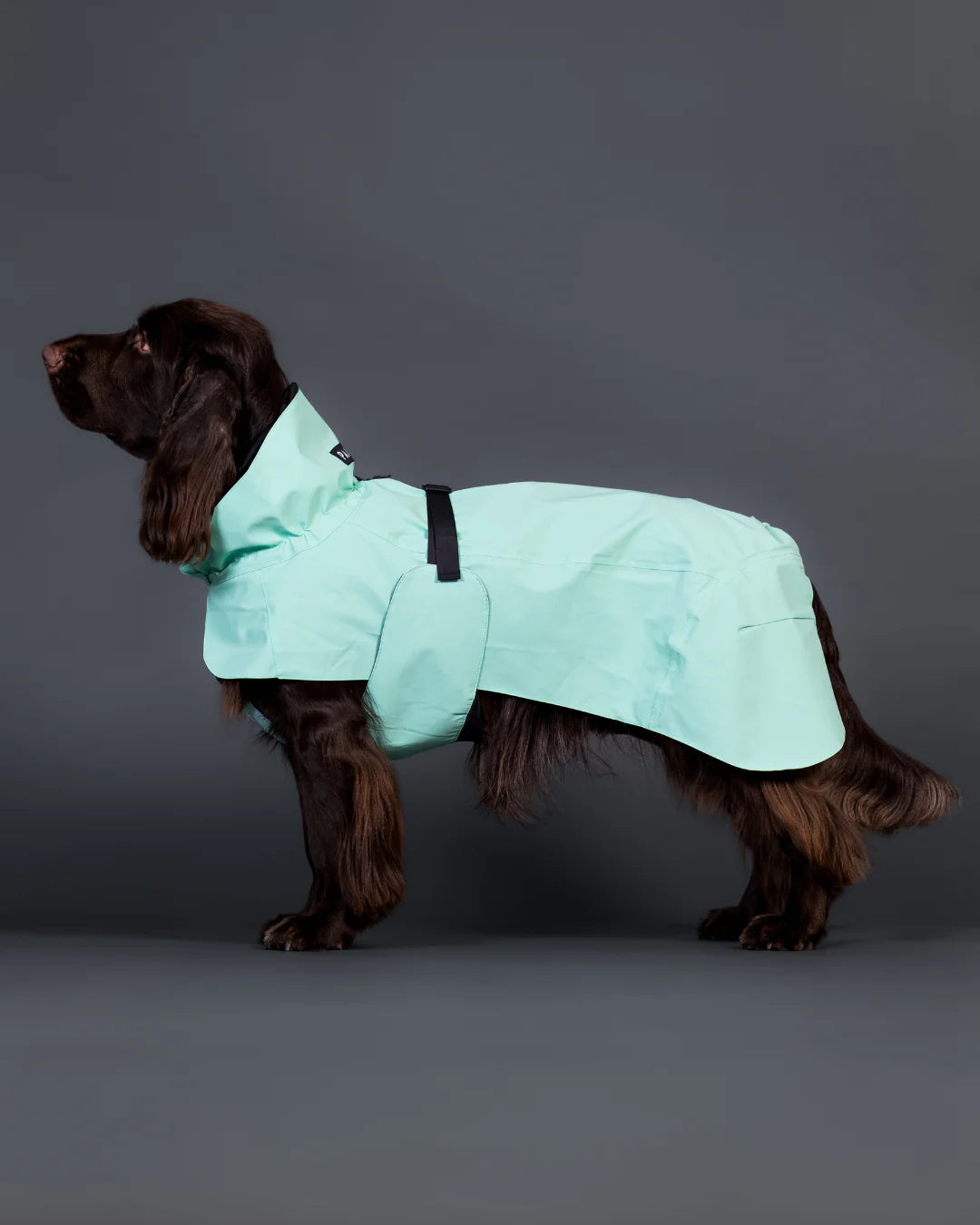PAIKKA Visibility Raincoat Lite for Dogs - Cabbage