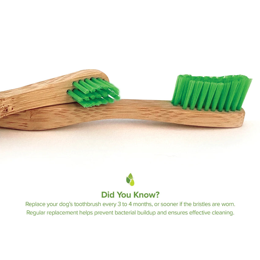 Pure and Natural Pet - Bamboo Tooth Brush