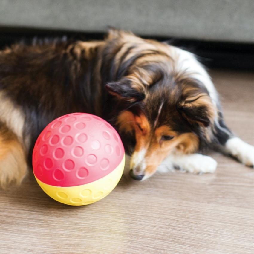 Outward Hound - OH Nina Ottosson Treat Tumble L