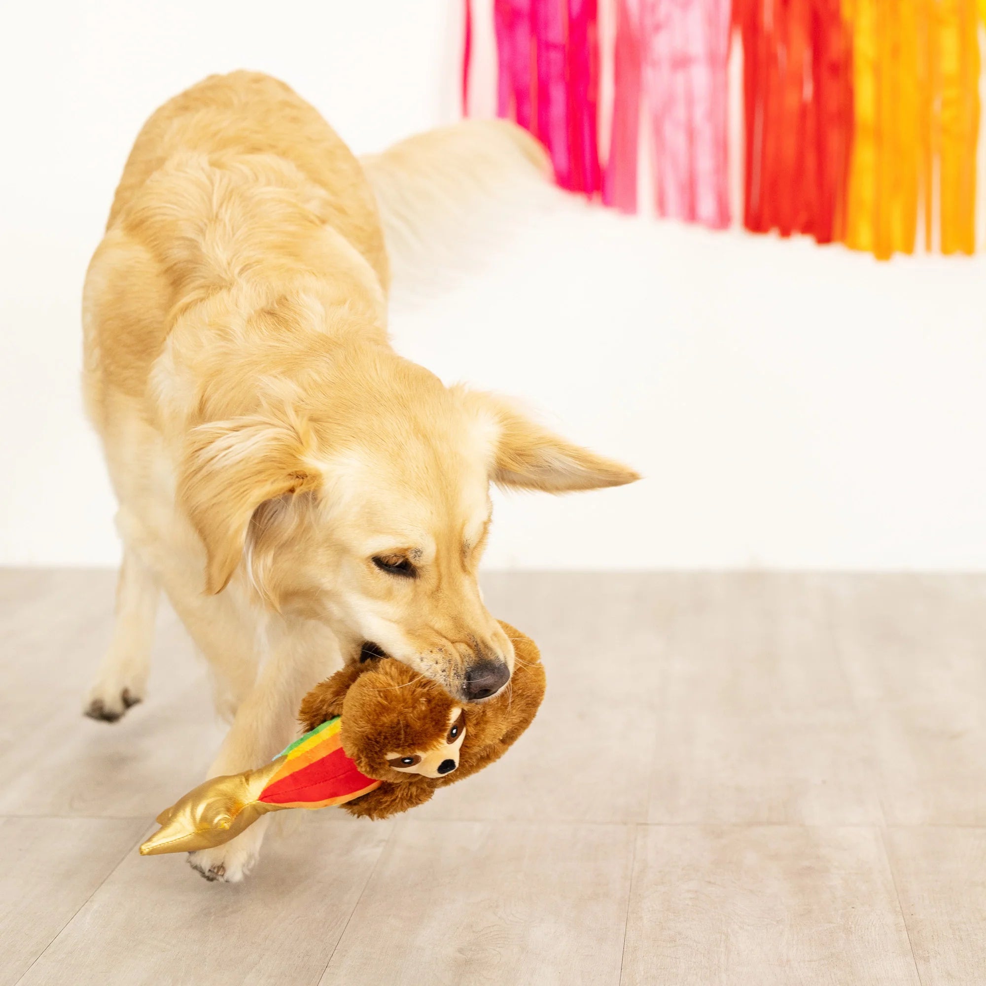 Petshop - RAINBOW HIGH DOG TOY