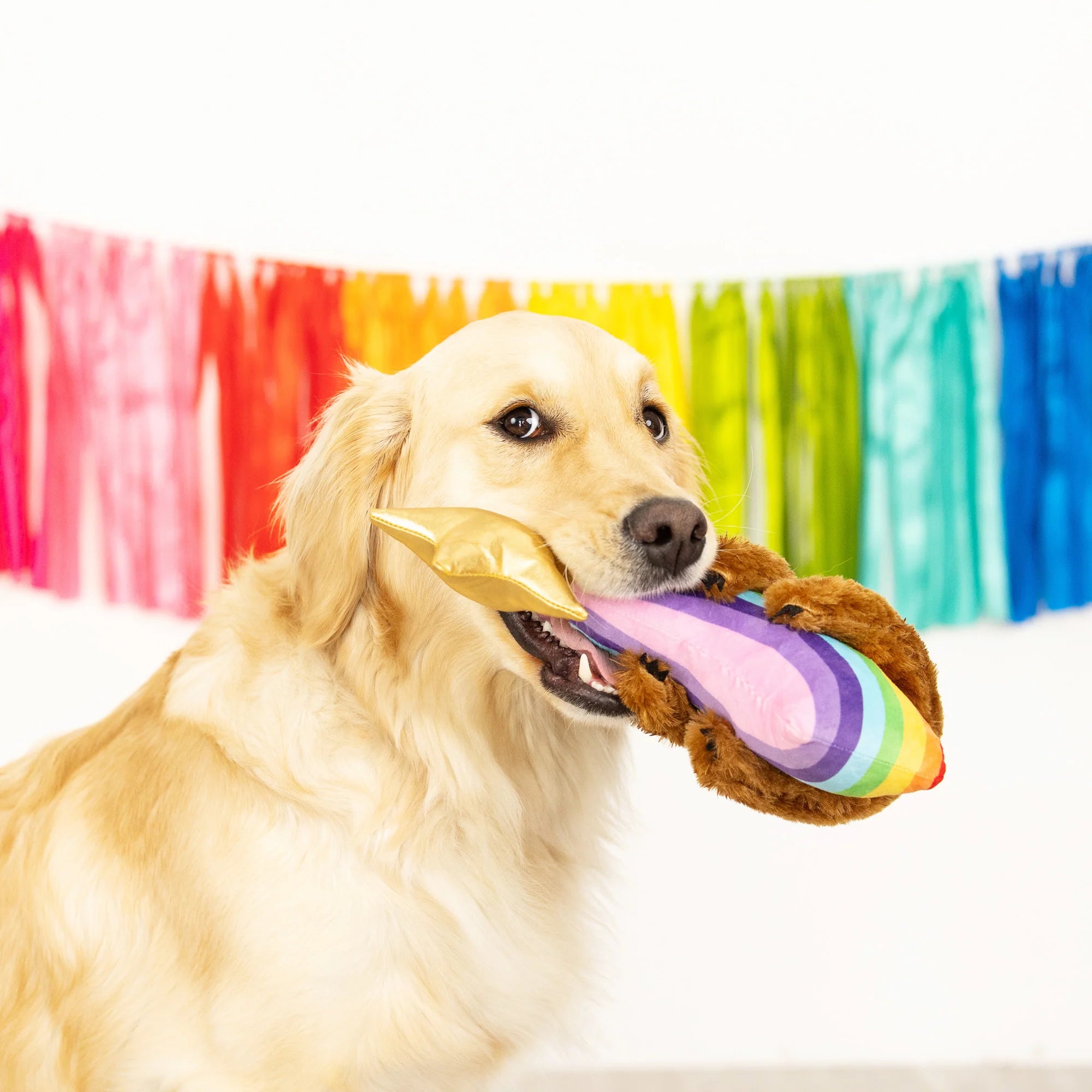 Petshop - RAINBOW HIGH DOG TOY