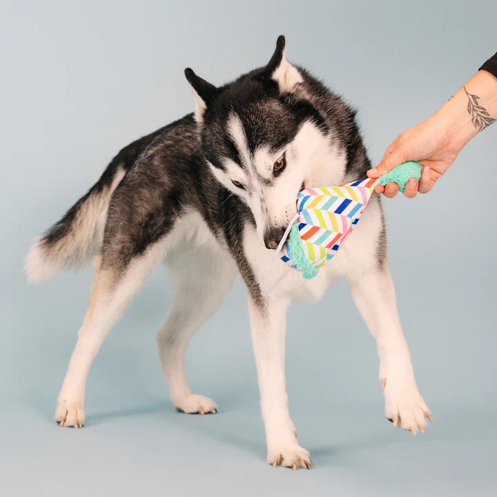 Petshop - CHEERS FOR A BARKDAY DOG TOY