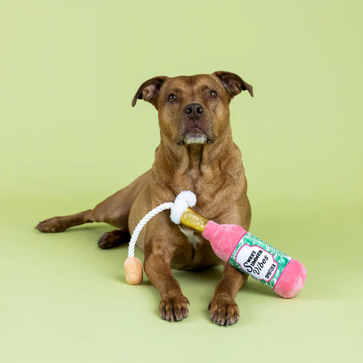 Petshop - SWEET SUMMER VIBES PLUSH DOG TOY