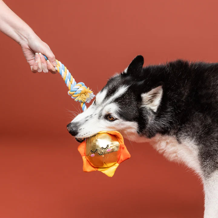 Petshop - SUN-DAY I'M IN LOVE ROPE DOG TOY