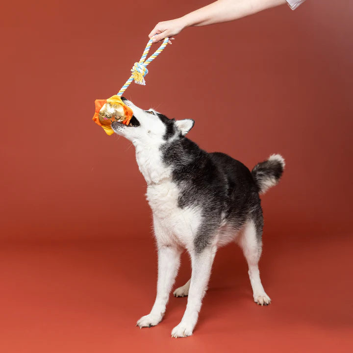 Petshop - SUN-DAY I'M IN LOVE ROPE DOG TOY