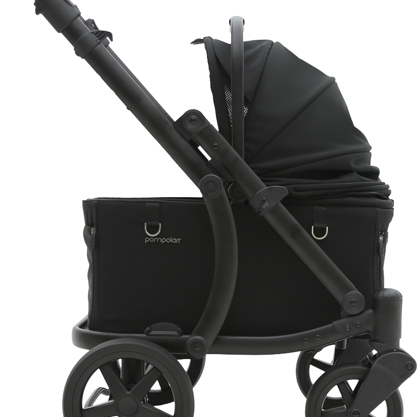 Pompolarr Pet Modu Wagon - Hybrid Detachable Pet Stroller (Black)