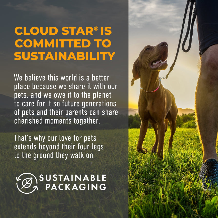 Cloud Star Crunchy Tricky Trainers Dog Treats
