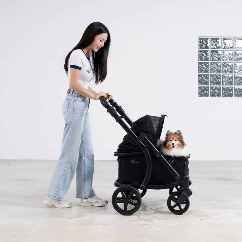 Pompolarr Pet Modu Wagon - Hybrid Detachable Pet Stroller (Black)