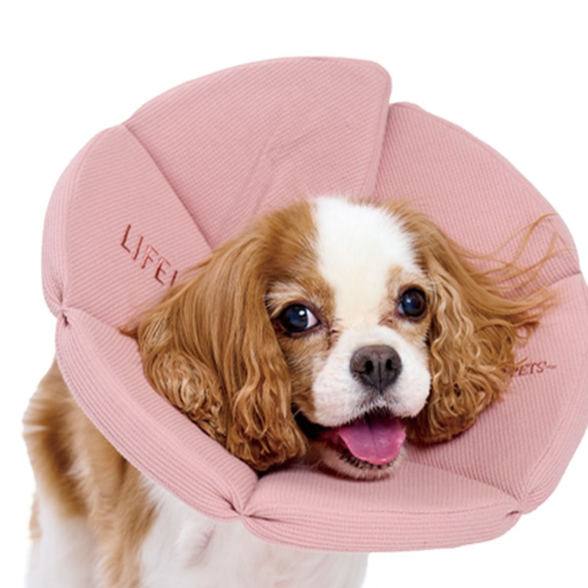 Lifelike - Recovery Collar