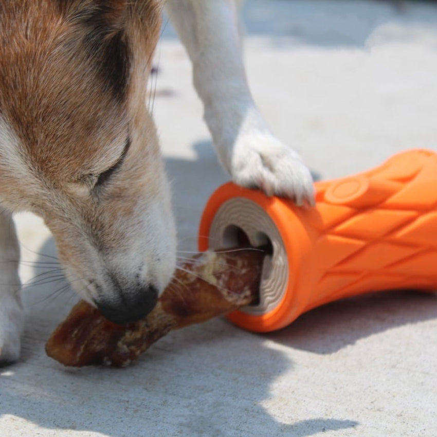 Tall Tails - Rubber Toy - Natural Rubber Trunk Toy