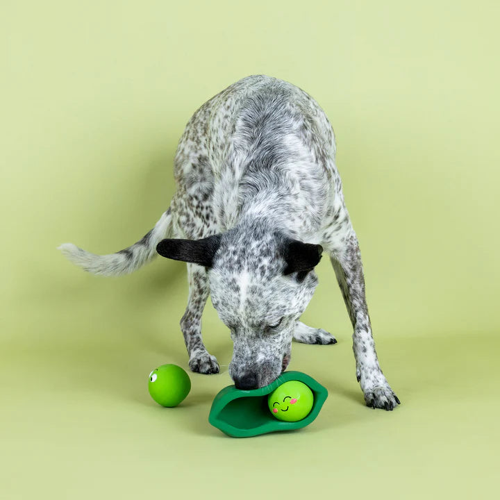 Petshop - WE COME IN PEAS LATEX DOG TOY