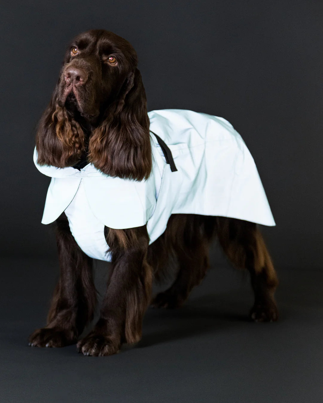 PAIKKA Visibility Raincoat Lite for Dogs - Cabbage