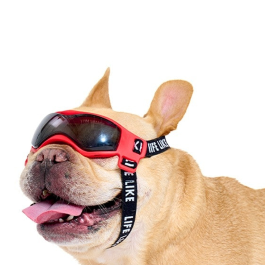 Lifelike - Goggles