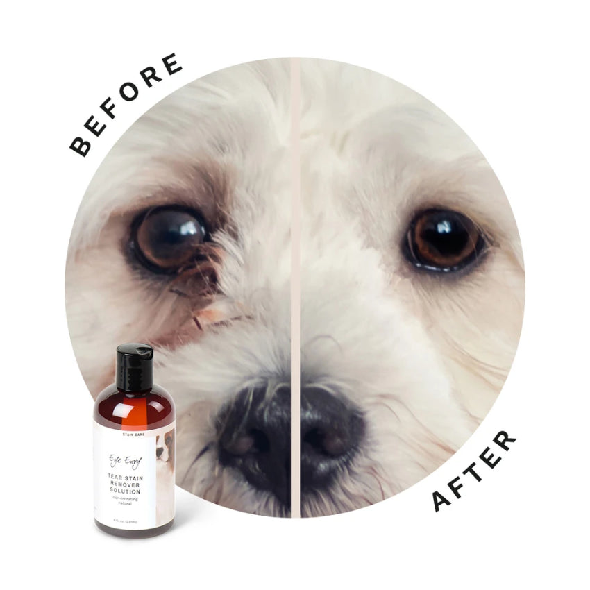 Eye Envy Tear Stain Remover Solution for Dogs (4oz)