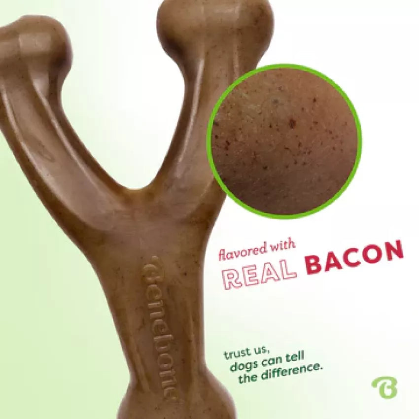 Benebone - Wishbone Durable Dog Chew - Bacon Flavor (Medium)